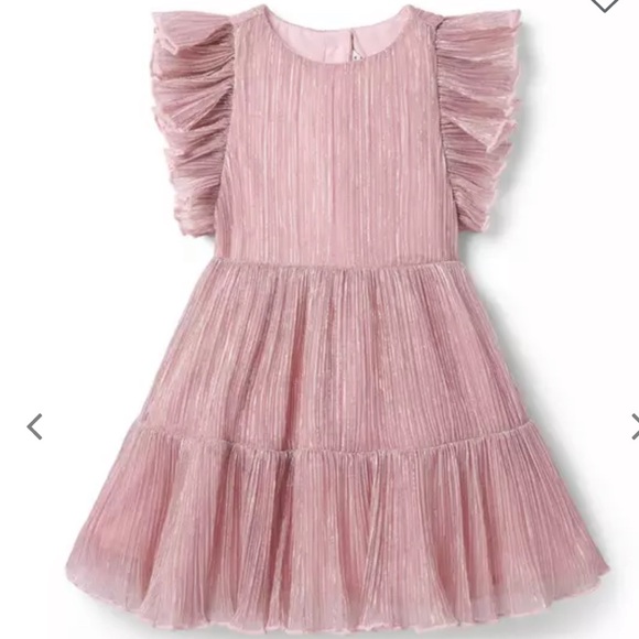 Janie and Jack Other - Janie and Jack Shimmer Pleated Dress